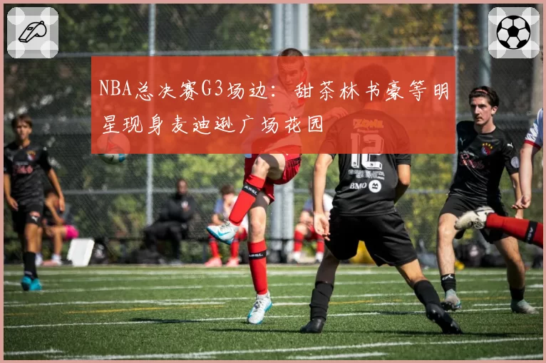 NBA总决赛G3场边:甜茶林书豪等明星现身麦迪逊广场花园