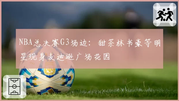 NBA总决赛G3场边：甜茶林书豪等明星现身麦迪逊广场花园