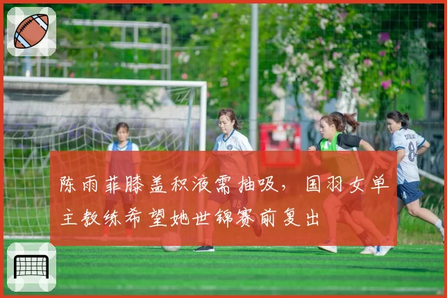 陈雨菲膝盖积液需抽吸，国羽女单主教练希望她世锦赛前复出