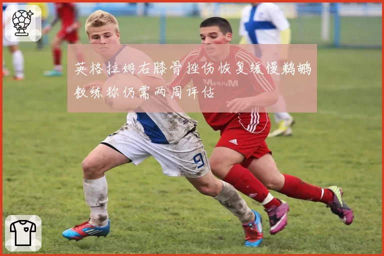 英格拉姆右膝骨挫伤恢复缓慢鹈鹕教练称仍需两周评估